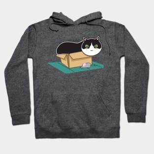 Box Kitty Hoodie